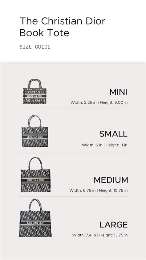 dior tote bag cleaning guide